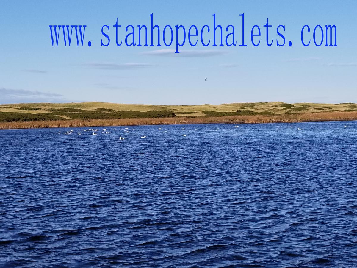 فندق Merry Stanhope Chalets المظهر الخارجي الصورة